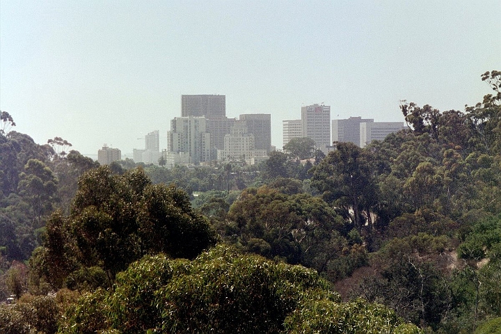 11 San Diego skyline.JPG
